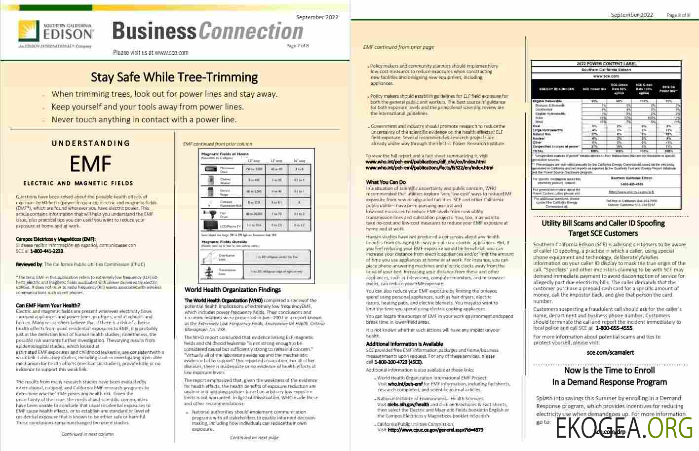 USA Southern California EDISON utility bill, Word and PDF template, 8 pages 7 8